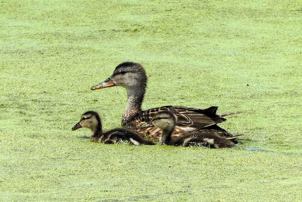 20代女子が育児と仕事を両立させるためのポイントは？