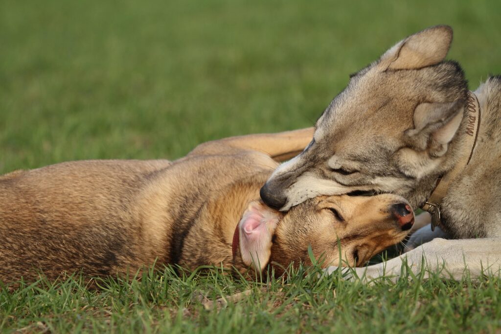 優先順位をつけられない女性が抱える悩みとは？