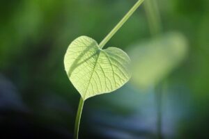 女性が自分に合う働き方診断を行う方法は？