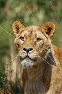 集中力を上げる方法で仕事の効率をアップするには？