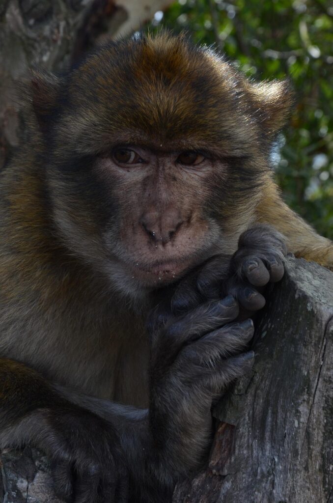 業務量が多すぎると感じた時に辞めたいと思う理由は？