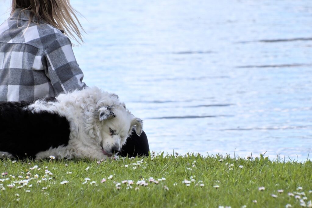 保育園での人間関係が最悪な場合、辞めたいと思ったらどうすればいい？