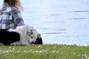 保育園での人間関係が最悪な場合、辞めたいと思ったらどうすればいい？